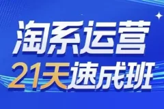 0基础淘系运营21天速成班