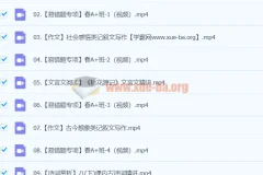 2024初二语文 柳宁语文 A+寒假班(春上)