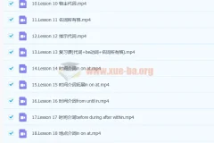 抖音网红英语名师 雪梨初级英语语法课 71讲带讲义