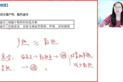 2024高二生物暑假班-周云主讲【免疫调节+神经传导+生态系统】