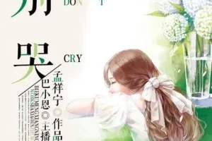 有声小说《别哭》 43集全 巴小恩播音