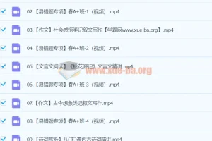 2024初二语文 柳宁语文 A+寒假班(春上)