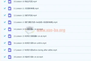 抖音网红英语名师 雪梨初级英语语法课 71讲带讲义