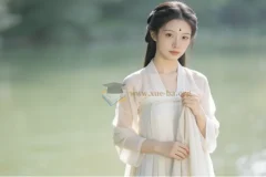 新版Seedance2.0 保姆级教程5套