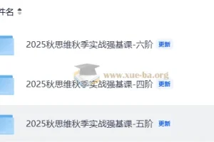 小学数学 2025秋思维秋季实战强基课4-6阶