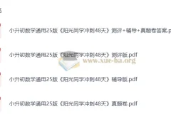 2025版小升初 阳光同学冲刺48天 小学数学