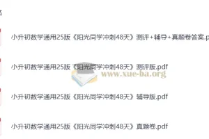 2025版小升初 阳光同学冲刺48天 小学数学