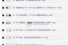 计算机网络通关 29 讲
