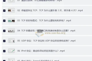 计算机网络通关 29 讲
