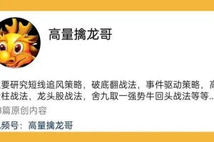 高量擒龙哥 圈内培训课（含指标）