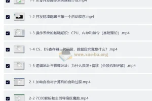 从零开发操作系统：从加电自检到内核引导