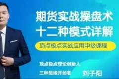 刘子阳期货实战操盘术：顶点极点实战应用中级课