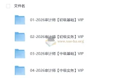 2026初中级审计