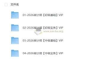 2026初中级审计