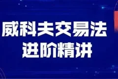 飞云金教《威科夫量价分析》