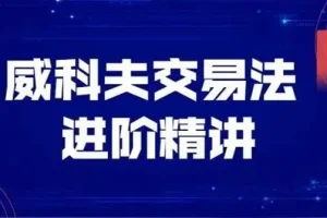 飞云金教《威科夫量价分析》