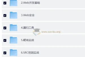 网络安全大师课2025版