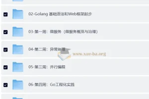 Go进阶训练营 – 4期 – 带源码课件
