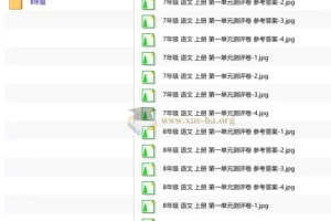 王朝霞测评卷一单元初中语文25年上册78