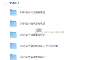 2025 张雪峰 提分笔记 初中语文数学英语物理化学