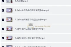 小太阳北大学霸十合一精品课 视频