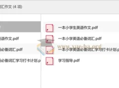 一本小学英语词汇作文