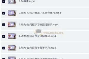 小太阳北大学霸十合一精品课 视频