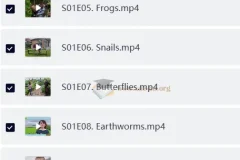 ‌BBC少儿英语科普节目 宠物与我 Teeny Tiny Creatures (1-3季)