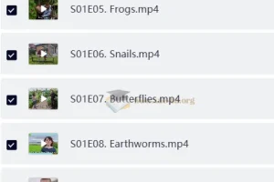 ‌BBC少儿英语科普节目 宠物与我 Teeny Tiny Creatures (1-3季)