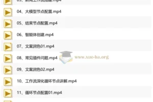 大宇AI智能体教学，工作流智能体搭建实操，从0-1全通课程