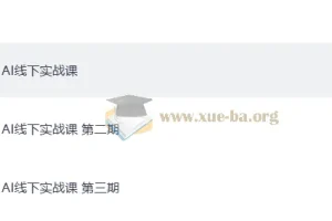 AI线下实战课 1-3期