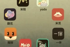 【社交软件玩法大全】Soul/陌陌/探探/世纪佳缘/MarryU/tinder/她说/积木全都有！