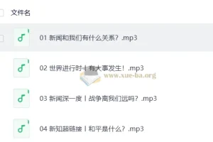 凯叔-少年参考