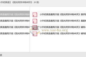 【2025小升初英语】 阳光同学冲刺48天