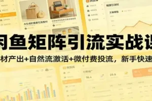 【精】闲鱼矩阵引流实战课：AI素材产出+自然流激活+微付费投流，新手快速获客