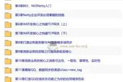 Netty+SpringBoot开发即时通讯系统 无秘 15章 完结