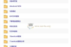 android安卓逆向破解视频教程手游加密算法文件结构协议实战hook