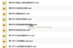 短视频+直播带货实操课，基础、运营、技能综合实操课（90节）