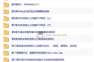 Netty+SpringBoot开发即时通讯系统 无秘 15章 完结