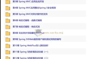 14小时讲透Spring5新特性 重点讲解WebFlux响应式编程