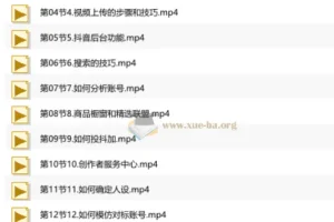 短视频+直播带货实操课，基础、运营、技能综合实操课（90节）