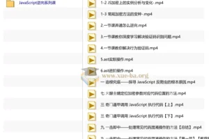 【NightTeam夜幕】JavaScript 逆向系列课 + 高阶课