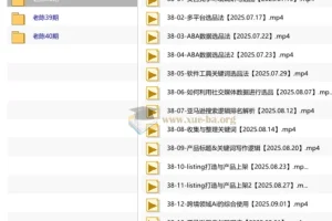 老陈聊跨境·亚马逊实操通关训练营