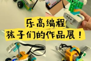 【乐高编程】培训班价值四五千的青少年乐高课程合集98G