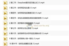 人人可学AI精品实战课 零基础玩转AI短视频 解锁流量副业双增收