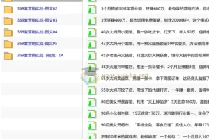 真实有效391套商业模式，年入几十到几百万案例解析（电子书+视频+图文）