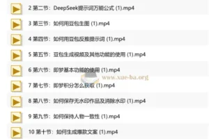 人人可学AI精品实战课 零基础玩转AI短视频 解锁流量副业双增收