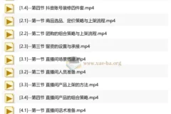 抖音AI直播精英流量特训营 全域流量变现实战全课