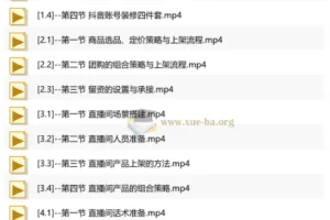 抖音AI直播精英流量特训营 全域流量变现实战全课