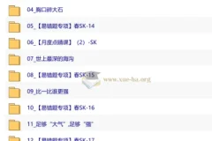 【2026初二春下】自然科学自主学习·SK-付雷